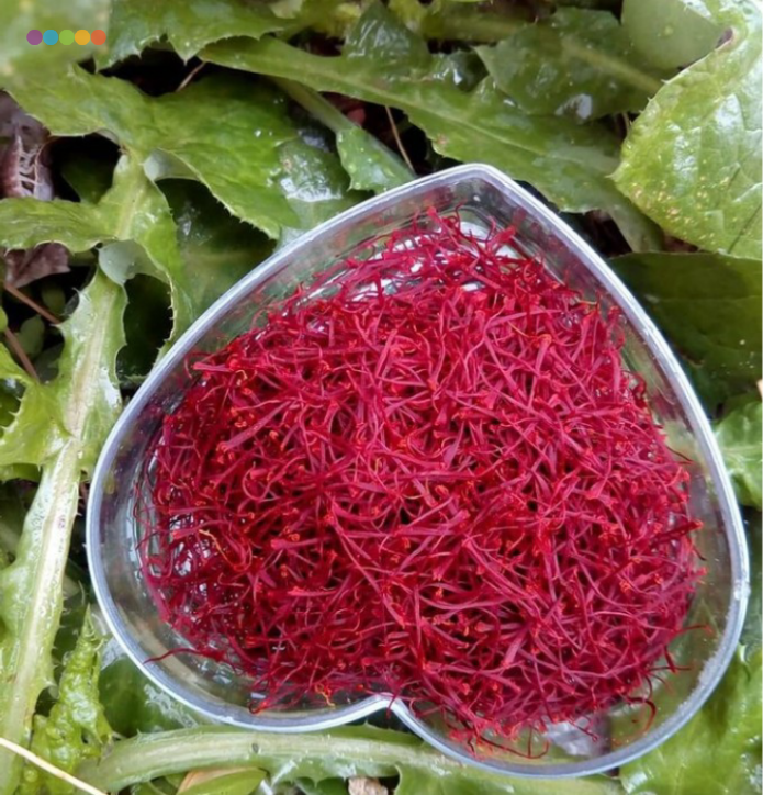 خواص زعفران