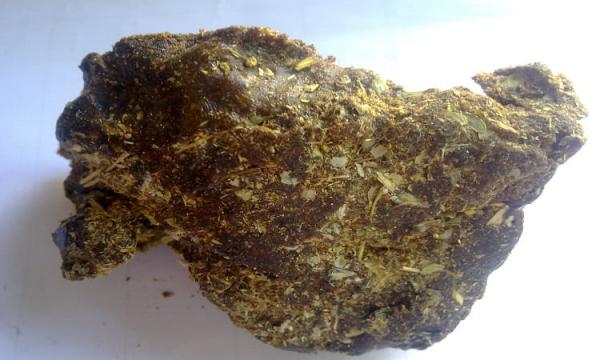 قیمت روز گزانگبین اصل