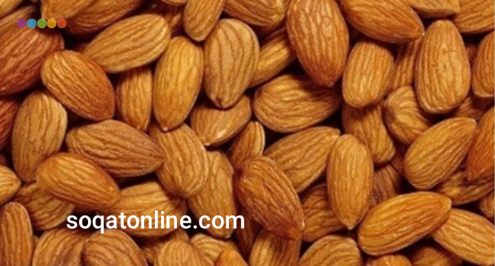 انواع گز بادامی فله ارزان