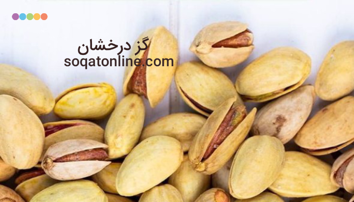 کیفیت گز صادراتی