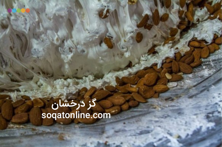 توزیع گز بادامی ۴۲٪